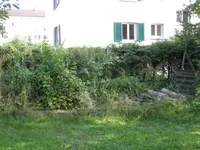 IMG_0565.webp IMG_0565.webp