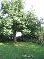 IMG_0583.webp IMG_0583.webp