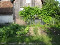 IMG_0582.webp IMG_0582.webp