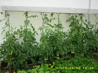 Test 1875.webp