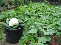 IMG_0254-1.webp