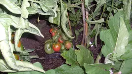 4. 8. 2010  (3).webp