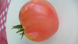 15.7 (58).webp