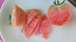 15.7 (62).webp