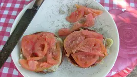 15.7 (63).webp