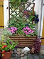 JD500452.webp