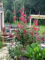 JD500473.webp