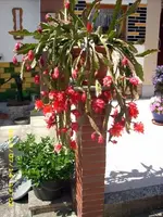 JD500447.webp