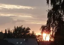 P1050543.webp