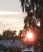 P1050544.webp
