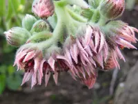 IMG_wur_1024x768.webp