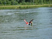 Wasserski 2.webp