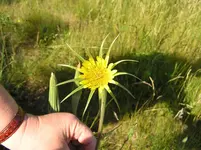 Diverses 255.webp