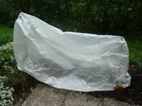 Rosenschutz.webp