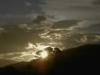 29.8.v.webp