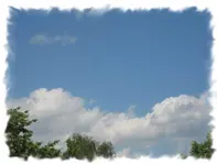 IMG_3071.webp
