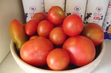 Garten 010.webp