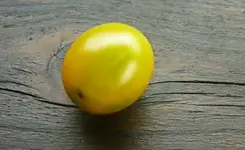 Green_Grape1.webp
