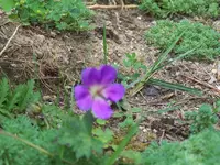 100_2461.jpg