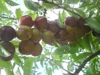 DSC01744.webp