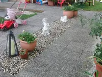 CIMG7923.webp
