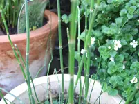 DSCF3972.webp