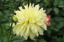 Garten 016.webp