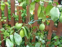 k-Bild 060.webp