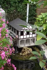 Garten 031.webp
