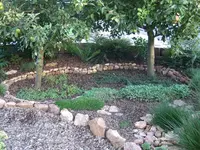 apfelbaumoval.webp