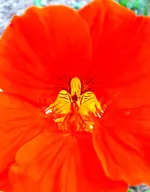 HeimJuli 10-41.webp