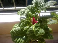 08082010834.webp