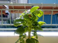 08082010835.webp