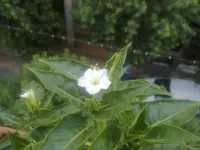 06082010829.webp