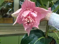 04082010029.webp