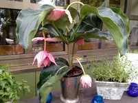 04082010030.webp