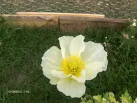 HPIM5219.webp