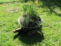 IMG_4572_2.webp
