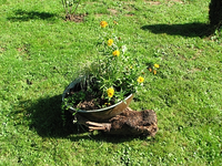 IMG_4573_2.webp