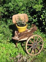 IMG_4580_2.webp