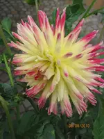 Bild 156.webp