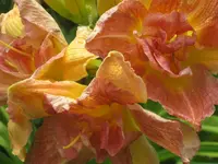 023.webp