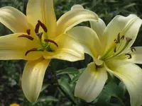 015.webp
