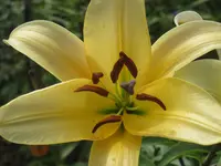 016.webp