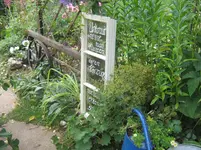 008.webp