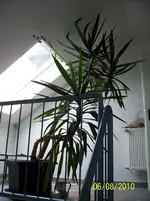 100_1372.webp
