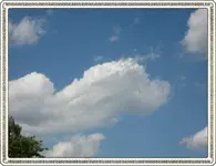 IMG_3087.webp