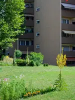 Garten07.1.webp