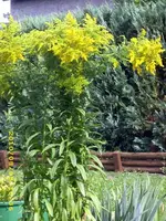 JD500503.webp