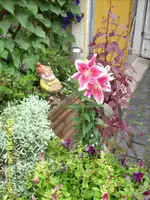 JD500504.webp